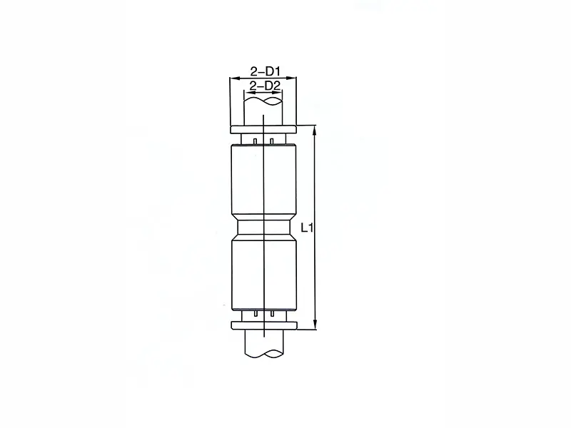 C1